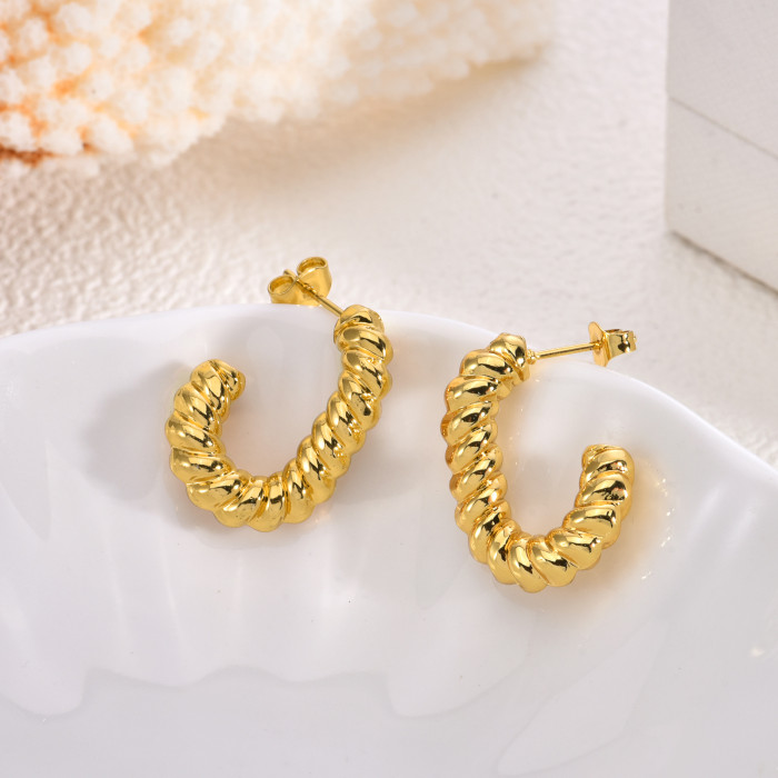 Light Luxury Women's Stainless Steel Earrings Elegant High-end Feel Ear Jewelry Autumn Winter Design Sense Niche Gold Color Big Stud Earrings