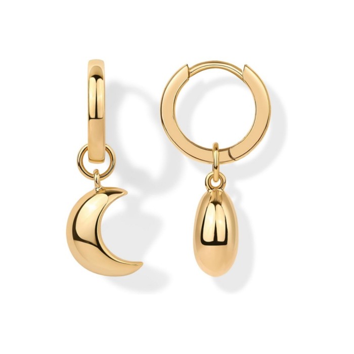 Amazon New Sale Moon Earrings Jewelry for Women Simple Elegant Versatile Earrings