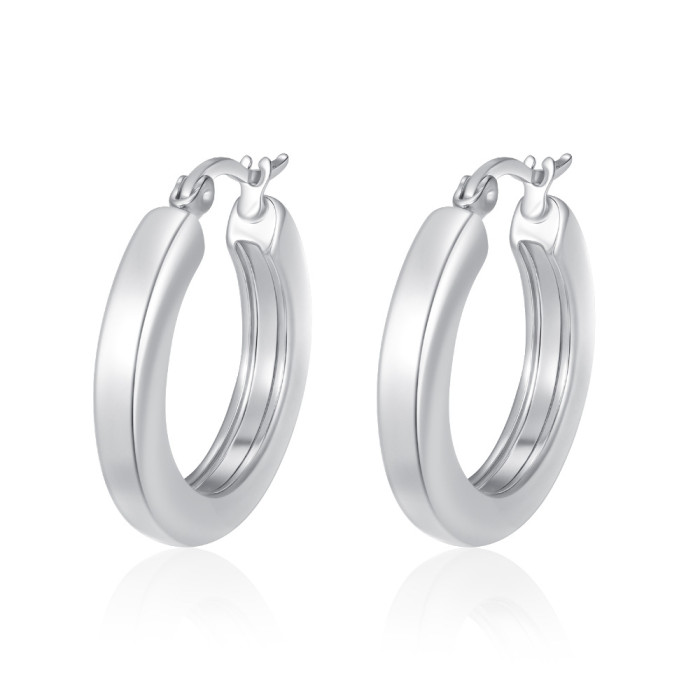 Cross-border light luxury geometric stainless steel earrings for women, trendy and high-end 18K plated hoops, versatile earrings wholesale