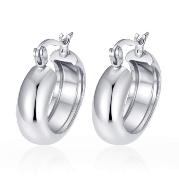 Cross-border European and American fashion trend stainless steel earrings for women, 18K plated, light luxury, high-end feel, irregular geometric earrings