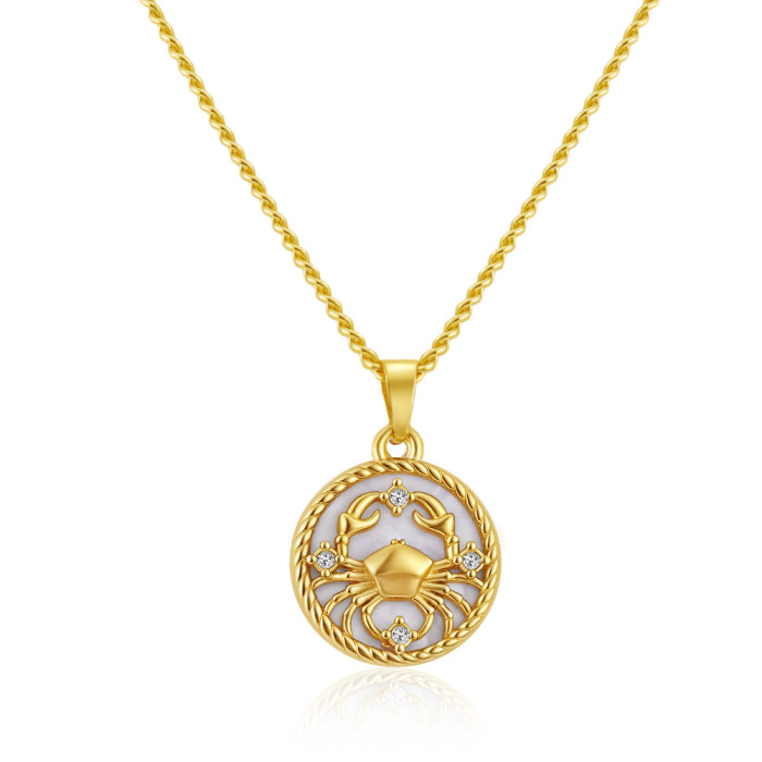 Cross-border direct supply to Europe and America: Zodiac stainless steel necklace, versatile women's round PVD electroplated fashion shell chain