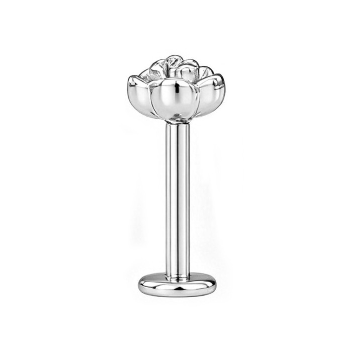 European and American cross-border rose titanium steel lip piercing, unisex stainless steel piercing jewelry, available in gold, silver, and black