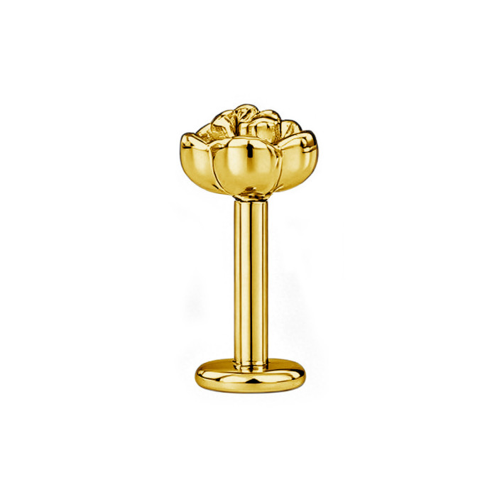 European and American cross-border rose titanium steel lip piercing, unisex stainless steel piercing jewelry, available in gold, silver, and black