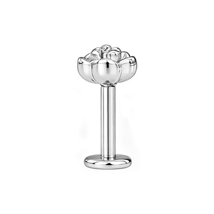 European and American cross-border rose titanium steel lip piercing, unisex stainless steel piercing jewelry, available in gold, silver, and black