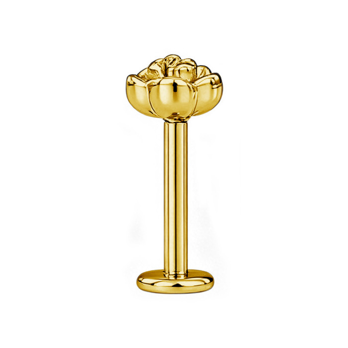 European and American cross-border rose titanium steel lip piercing, unisex stainless steel piercing jewelry, available in gold, silver, and black