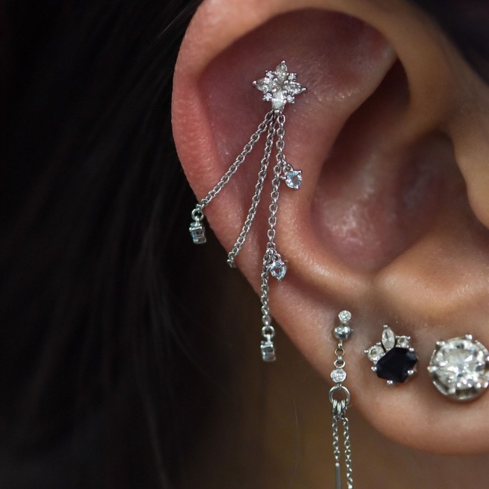 Light Luxury Tassel Pendant Earrings with 925 Silver Pins, Trendy Versatile Stud Earrings for Women, Fashionable Swee...
