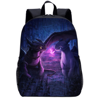 YOIYEN How to Train Your Dragon Student Backpack Children School Bag Back To School