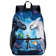 YOIYEN How to Train Your Dragon School Backpack Cartoon Style School Book Bag For Kids