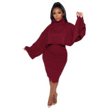 2020 Women's Foreign Trade Turtleneck Sweater Two-piece Sweater Skirt 202001166273