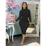 Ladies Autumn Casual Fashion Trend Temperament All-Match Sexy High Collar Solid Color Pleated Long Sleeve Dress CX2008257211