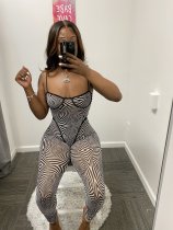 Ladies Summer Casual Fashion Trend Temperament All-match Sexy See-through Mesh Sling Zebra Print Two-piece Set CX2008272027