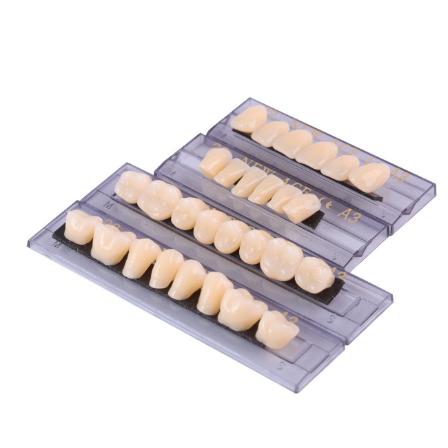28Pcs/Box Dental Denture Acrylic Resin False Teeth A2 A3 22#-24# Choosable Upper And Lower Shade