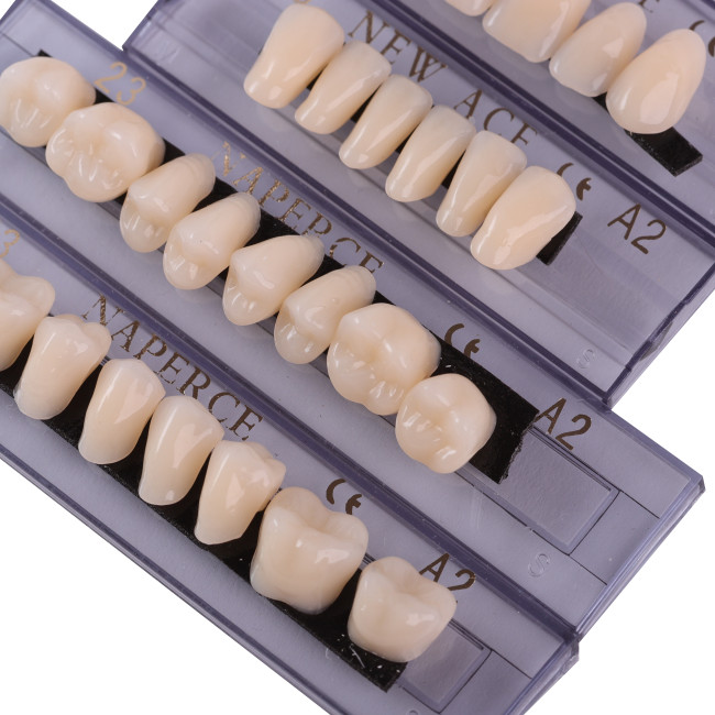 28Pcs/Box Dental Denture Acrylic Resin False Teeth A2 A3 22#-24# Choosable Upper And Lower Shade