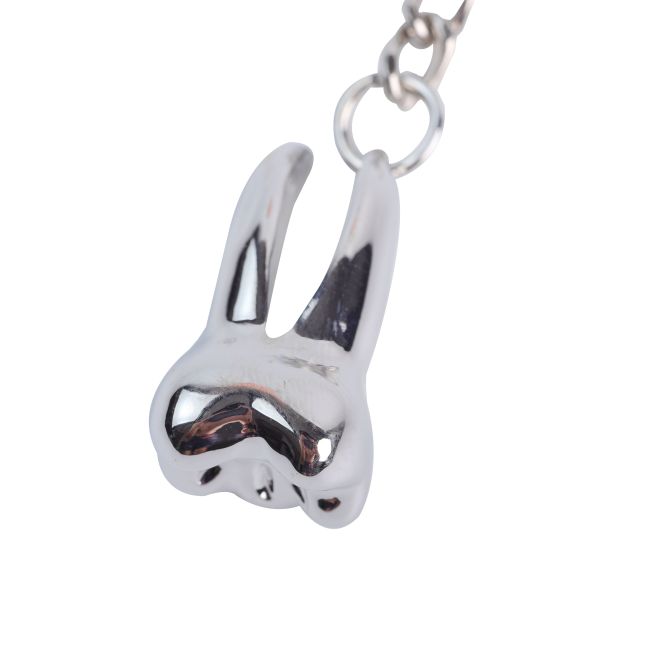 Dental Stainless Steel Mini Key chain Teeth Model Dentist Gift Key Chain Ring Ornament Gift