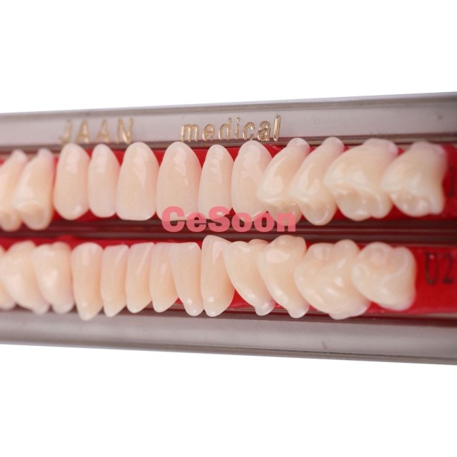 28Pcs/Pack Dental Acrylic Resin Teeth A2 Full Set Teeth Upper Lower Shade Tooth Dentures Material Teeth
