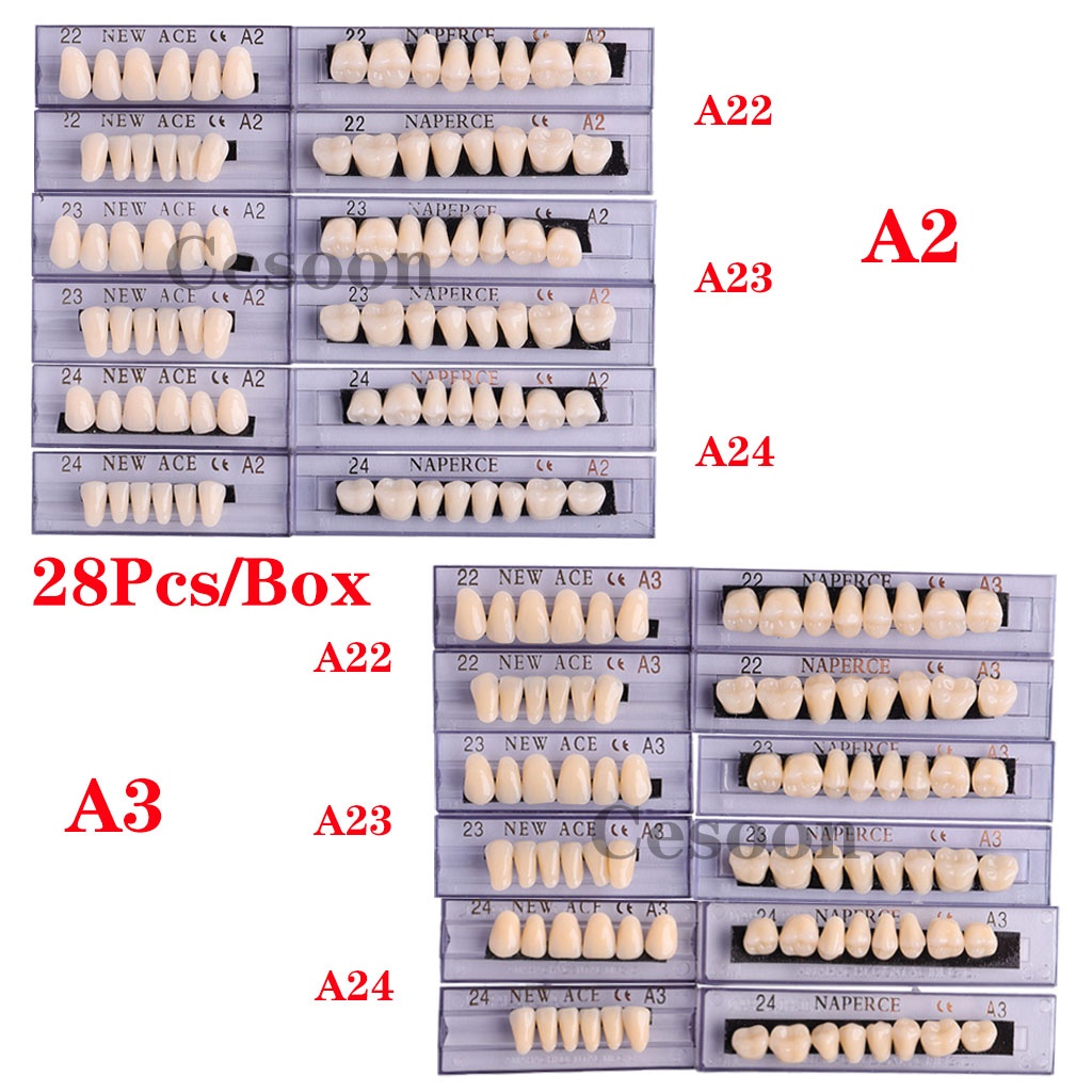 168pc Dental Acrylic Resin Denture Teeth - #22 A2 Shade - Full Set Upper & Lower