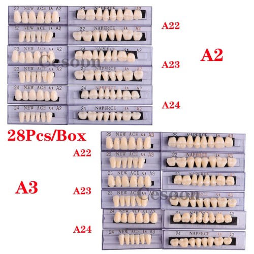 28Pcs/Box Dental Denture Acrylic Resin False Teeth A2 A3 22#-24# Choosable  Upper And
