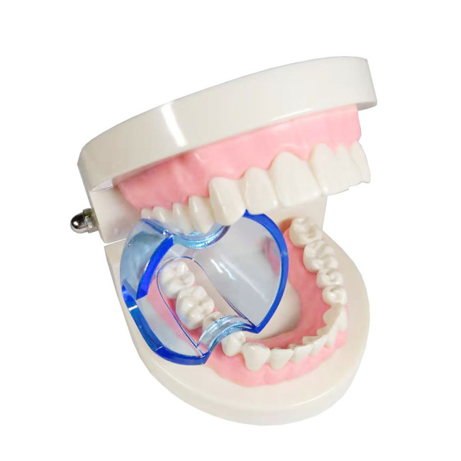 10pcs Dental Autoclavable Lip Retractor Cheek Expander Mouth Opener Anterior/Posterior