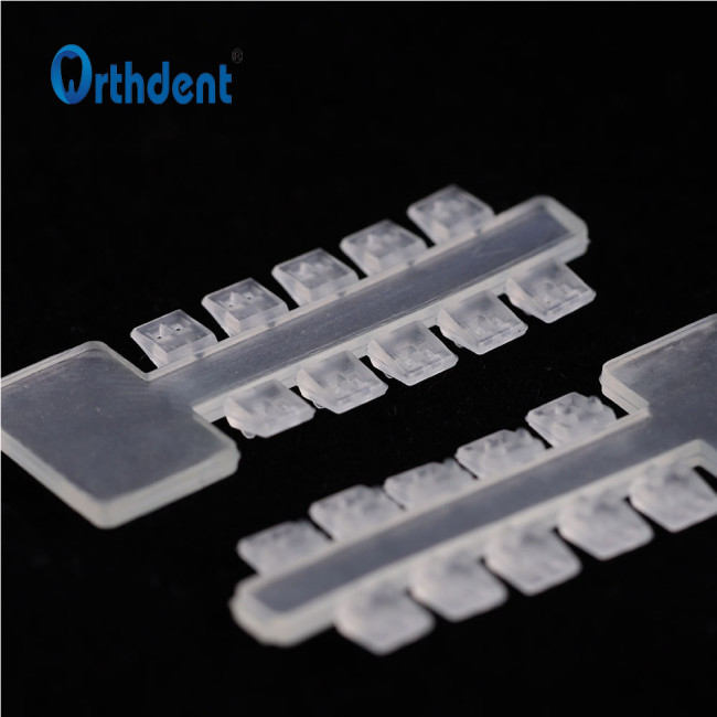 20 Pcs/Pack Orthodontic Dental Elastics Rotation Wedge Rotating Rubber Pad Dentist Tools