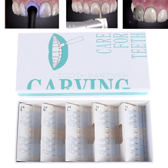 Orthdent 30 Pcs/Box Dental Composite Resin Mould Light Cure Filling Instrument Anterior Teeth Fast Aesthetic Printing Model Orthodontic
