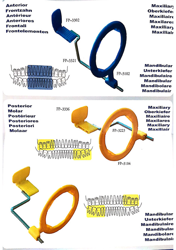 Orthdent 1Set Dental Intra Oral X-Ray Sensor Positioner Holder Dentistry Film Positioning System Complete Kit Dentist Materials