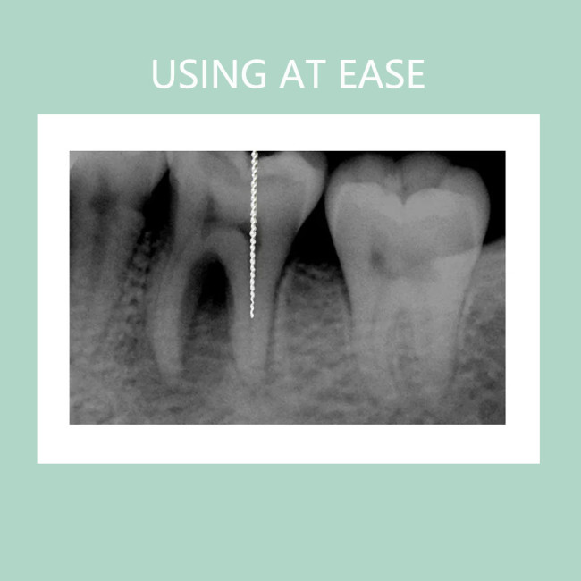6 Pcs/Pack Dental Endodontic Reciprocating Endo Files Root Canal Blue Niti R25 08