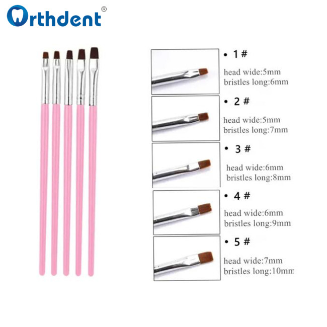 5Pcs Dental Resin Brush Pens Shaping Nylon For Adhesive Porcelain Teeth Dentistry Shaping Composite Cement ail Art Acrylic Tools