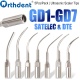 5Pcs Dental Ultrasonic Scaler Tips Fit DTE SATELEC Handpiece GD1--GD7 Scaler Endo Perio Tips Lab Dentist Tools Dentistry