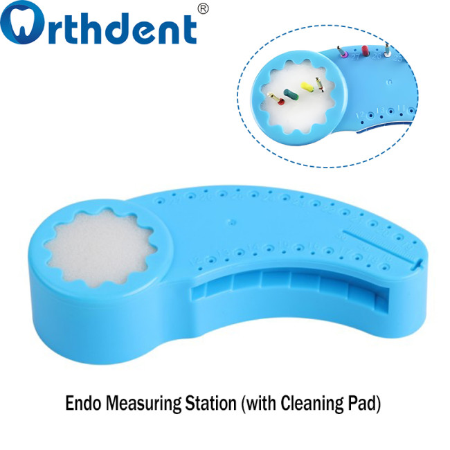 horn style endo measuring station blue
