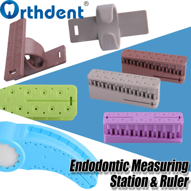 1Pc Dental Endodontic Measuring Station & Ruler Endo Block File Measuring Tools Autoclavable