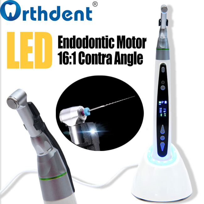 Dental Endo Motor with OLED Display & 16:1 Contra Angle Root Canal Therapy 10 Programs US/EU Plug