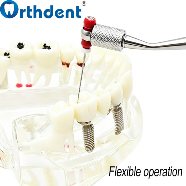 endodontic file holder file placement and clinical use