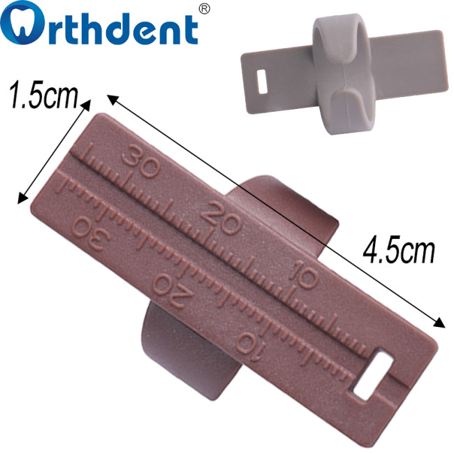 endodontic measuring ruler size dimension chart