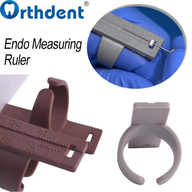endodontic measuring ruler clinical working length measurement use