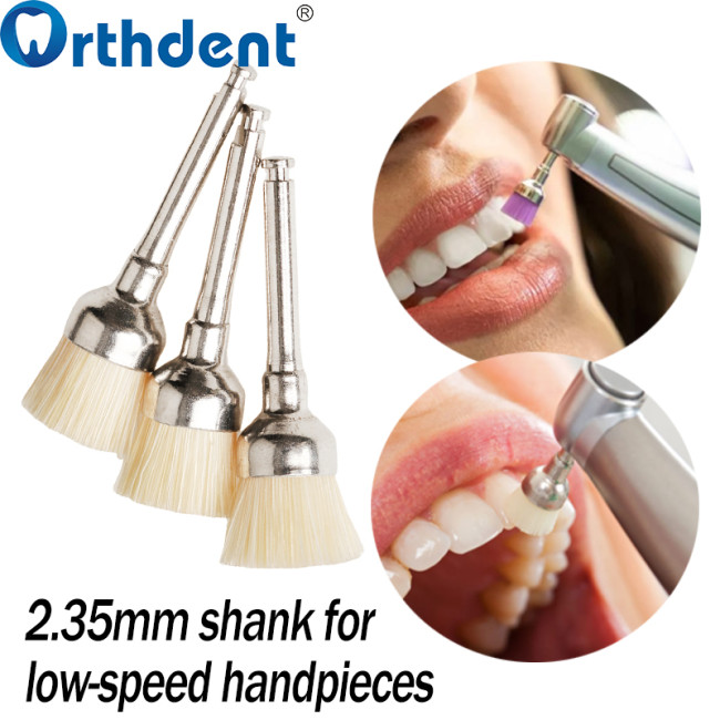 100Pcs/Box Dental Bowl Polishing Brush Snap-On Type Nylon/Bristle Teeth Stain Removal Tool