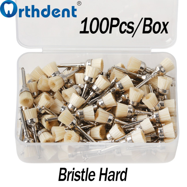 100Pcs/Box Dental Bowl Polishing Brush Snap-On Type Nylon/Bristle Teeth Stain Removal Tool