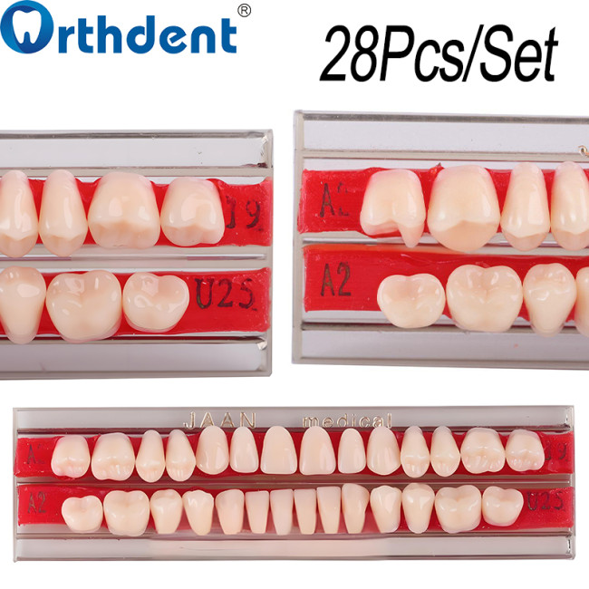 Dental Acrylic Resin Teeth A2 Full Set 28Pcs/Set Upper & Lower Denture Replacement Material