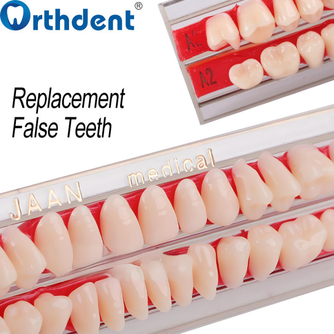 Dental Acrylic Resin Teeth A2 Full Set 28Pcs/Set Upper & Lower Denture Replacement Material