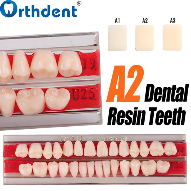 Dental Acrylic Resin Teeth A2 Full Set 28Pcs/Set Upper & Lower Denture Replacement Material