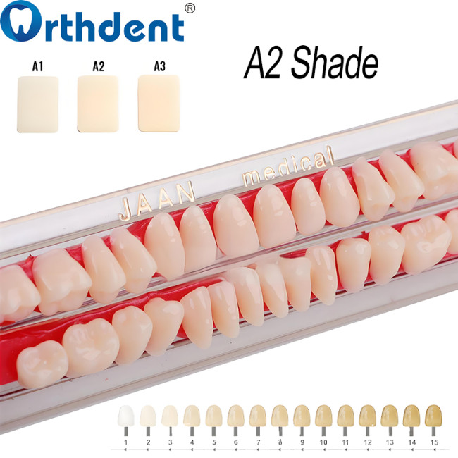 Dental Acrylic Resin Teeth A2 Full Set 28Pcs/Set Upper & Lower Denture Replacement Material