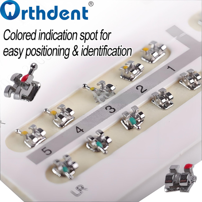 Mini Roth bracket colored indication spot for easy positioning and identification