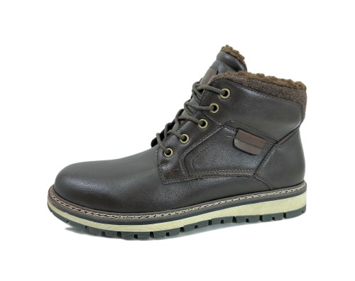 Men's Hiking Boots 04190925