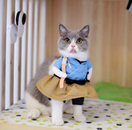 funny cat clothes