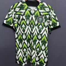 23-24 Nigeria Green White Training shirts