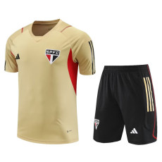 23-24 Sao Paulo Beige Training Short Suit