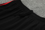 23-24 Bayern Black Training Shorts Pants