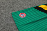 23-24 Bayern Retro Green Training Shorts Pants