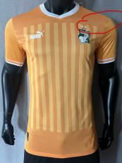 22-23 Ivory Coast Home Player Version Soccer Jersey (带二星)