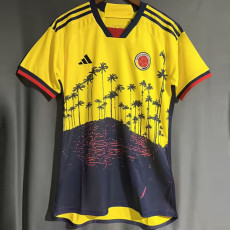 23-24 Colombia Yellow Special Edition Fans Soccer Jersey