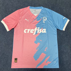 23-24 Palmeiras Pink Blue Special Edition Training shirts